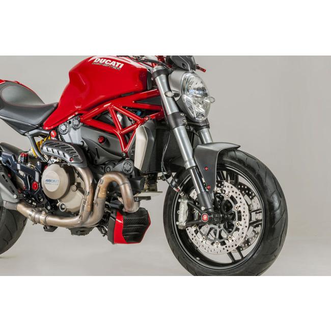 CNC Racing シーエヌシーレーシング カーボンフロントフェンダー MONSTER 1200 1200R 1200S 821 DUCATI ドゥカティ フロントフェンダー フェンダー関連 外装_1
