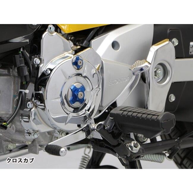 ENDURANCE エンデュランス チェンジペダル(前側ゴム) カラー：メッキ HONDA ホンダ シフトペダル ステップ 足回り | ENDURANCE（バイク） | 01