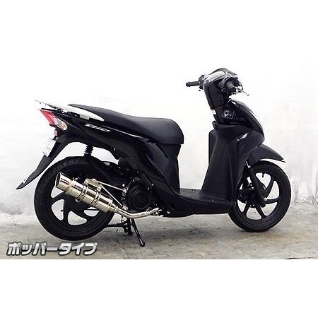 WirusWin ウイルズウィン ロイヤルマフラー タイプ：ポッパー ディオ110 HONDA ホンダ｜webike｜04