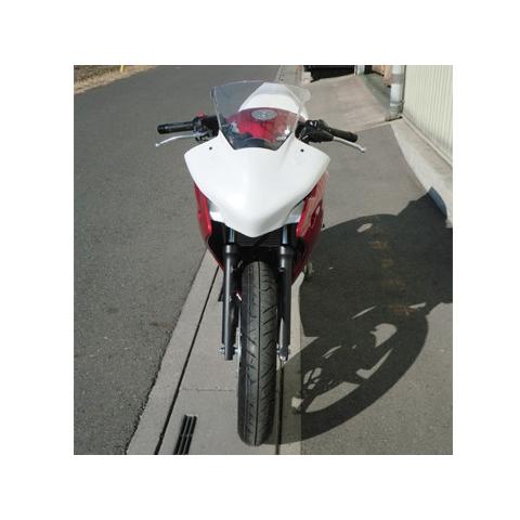 ENDURANCE エンデュランス フロントゼッケンプレート CBR250R (2011-) HONDA ホンダ ゼッケンプレート・ゼッケンベース 外装 | ENDURANCE（バイク） | 03