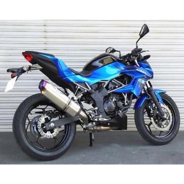 BEET ビート NASSERT(ナサート) Evolution TypeII スリップオン マフラー サイレンサータイプ：クリアチタン Ninja250SL Z250SL KAWASAKI カワサキ | BEET | 01