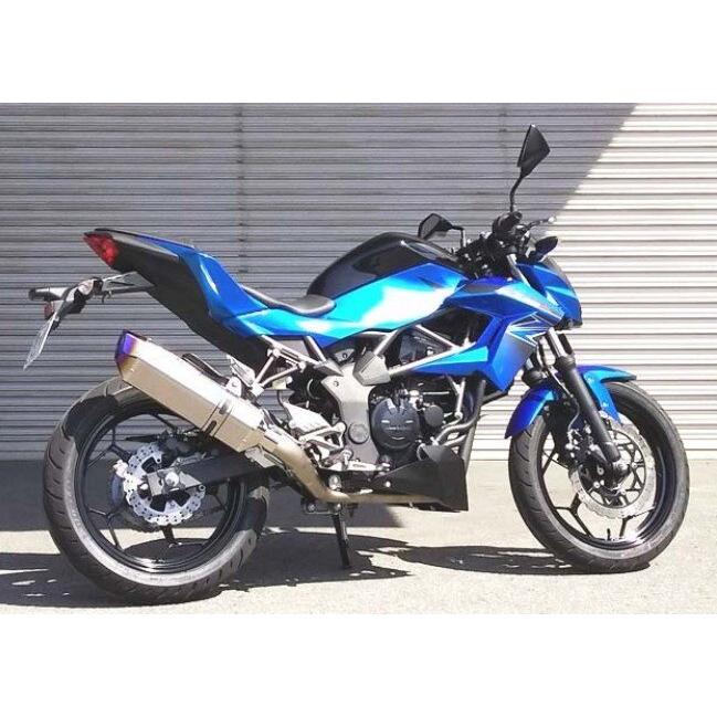 BEET（ビート） NASSERT(ナサート) Evolution TypeII フルエキゾースト