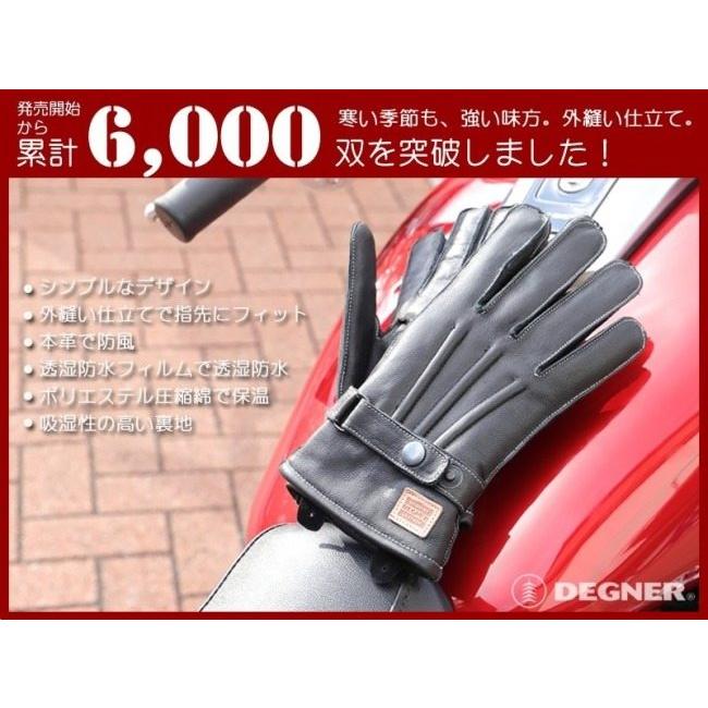 DEGNER デグナー ウィンターグローブ サイズ:M : 21950625 DEGNER デグナー ウィンターグローブ サイズ:M : 21950625