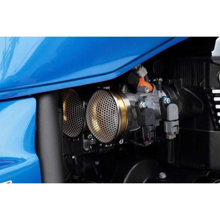 K-FACTORY（ケイファクトリー） 専用ネットセット ZRX1200ダエグ