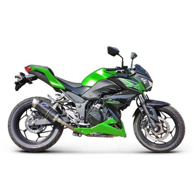 TERMIGNONI（テルミニョーニ） スリップオンマフラー カーボン