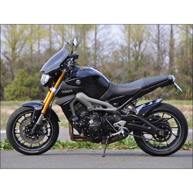 シックデザイン　スクリーン　スモーク　chicdesign CHIC DESIGN（シックデザイン） ガイラシールド スクリーンカラー