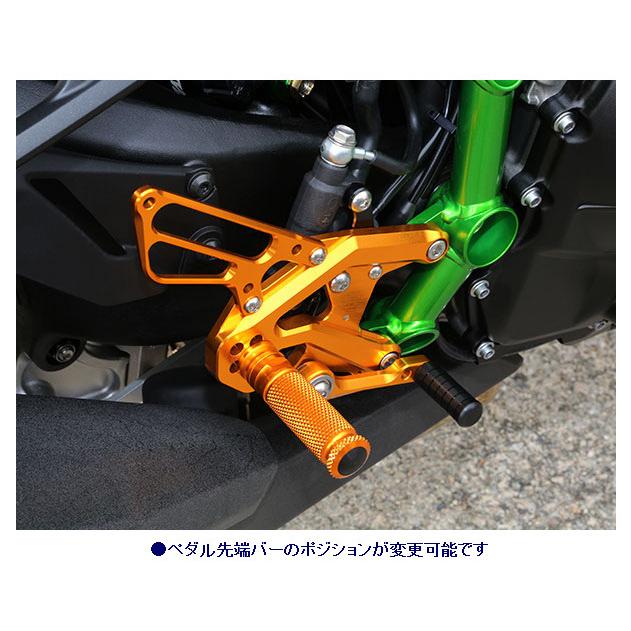 BABYFACE ベビーフェイス バックステップ カラー：ブラック ニンジャ H2 KAWASAKI カワサキ ステップ 足回り