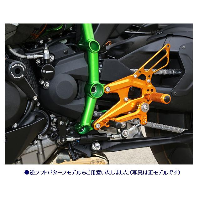 BABYFACE ベビーフェイス バックステップ カラー：ブラック ニンジャ H2 KAWASAKI カワサキ ステップ 足回り