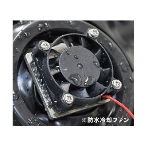 PROTEC（プロテック） LB7-MA LEDバルブ エイプ100 エイプ50 モンキー