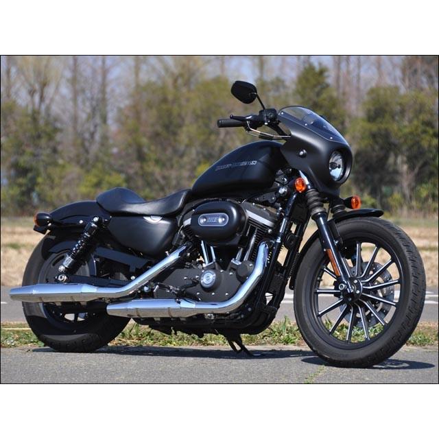 CHIC DESIGN シックデザイン ティーラ アーリーヘッドカウル