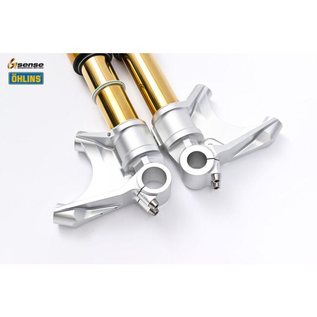 OHLINS（オーリンズ） 倒立フロントフォーク FG R&T 200 MT-10 YZF-R1