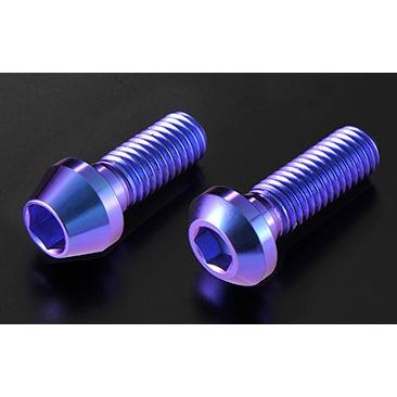 今月限定 特別大特価 Woodstock ウッドストック Woodstock Bチタニウウムボルト テーパーキャップバージョンセット ニンジャ250 Kawasaki カワサキ 最安値挑戦 Www Thedailyspud Com