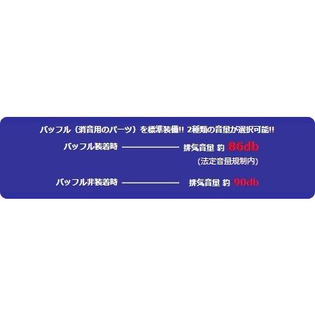 WirusWin ウイルズウィン スリップオンマフラー ユーロタイプ ステンレス仕様 / ヒートガードカラー：ポリッシュ仕上げ YZF-R25 YZF-R3｜webike｜06