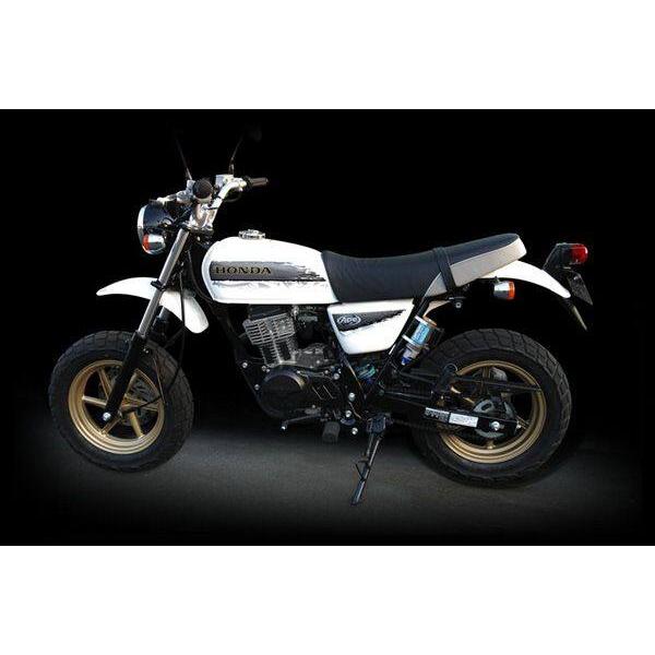 NITRON（ナイトロン） リアサスペンションミニショック MINI R1