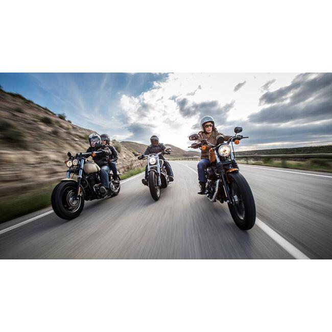 ミシュラン（MICHELIN） SCORCHER 11【150/60ZR17 M/C (66W) TL