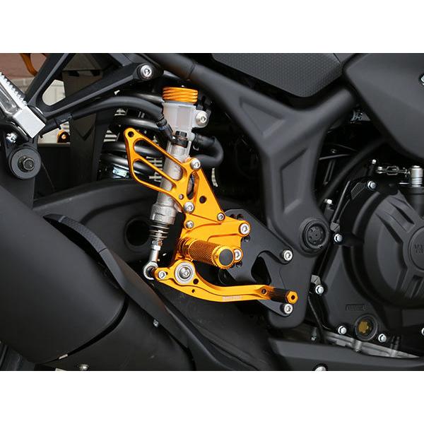 babyface - BABYFACE もの言う花人間の顔 レースステップキット 色合い：黒いこと YZF-R25 YZF-R3 YAMAHA ヤマハ うしろ側踏み板 踏み板 足回転運動