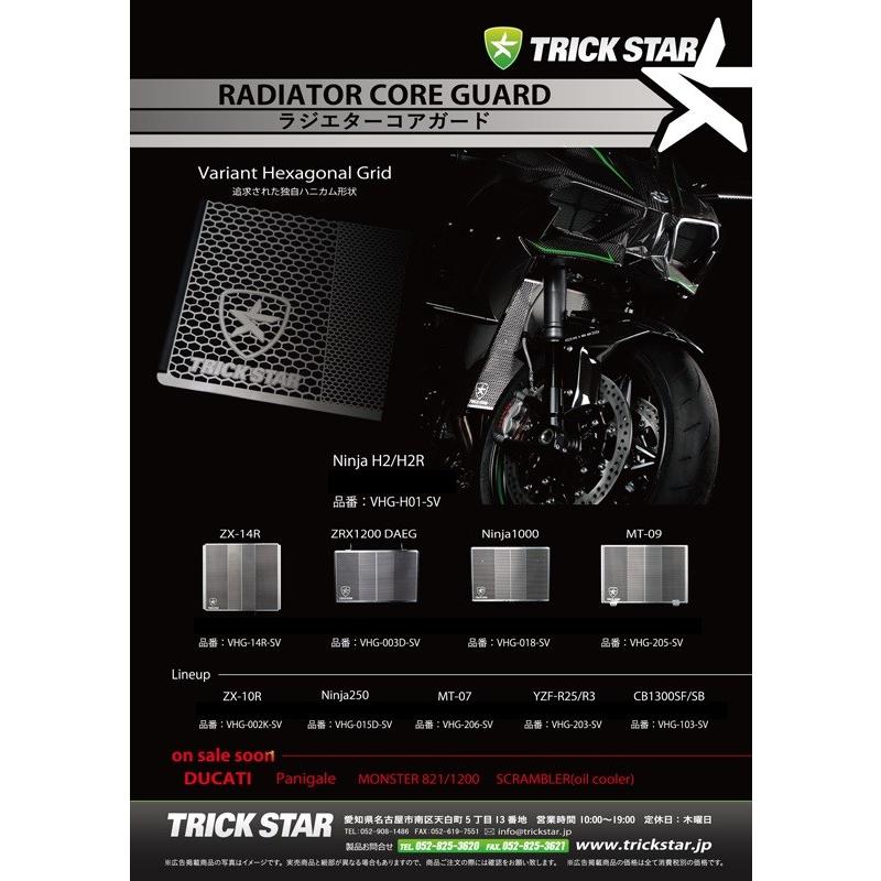 TRICKSTAR トリックスター ラジエターコアガード 表面仕上げ：ステンレスシルバー ZX-14R 1400GTR KAWASAKI カワサキ 冷却関連 エンジン | TRICK STAR | 02