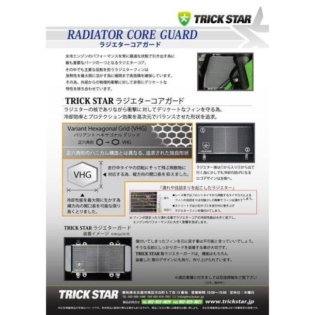 TRICKSTAR トリックスター ラジエターコアガード 表面仕上げ：ステンレスシルバー ZX-14R 1400GTR KAWASAKI カワサキ 冷却関連 エンジン | TRICK STAR | 03