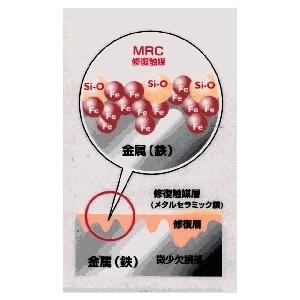 METARIZER メタライザー オイル添加剤 Fe-do Pro Bike[フェードプロバイク] オイル | ブランド登録なし | 01