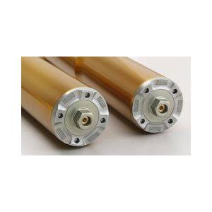 OHLINS オーリンズ 倒立フロントフォーク FG R&T 200 ニンジャ H2