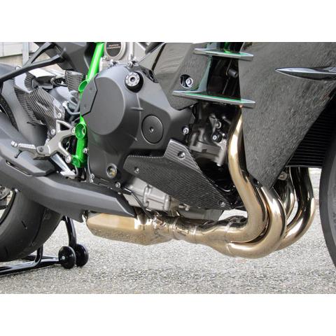 A-TECH エーテック エンジンサイドプレート 素材：ドライ