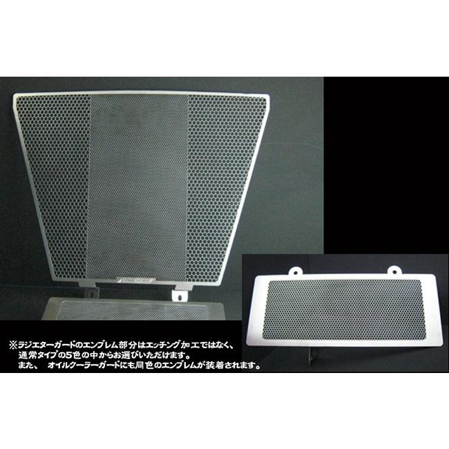 ETCHING FACTORY エッチングファクトリー GSX-R1000(05-06)用 ラジエター＆オイルクーラーガードセット GSX-R1000 SUZUKI スズキ 冷却関連 エンジン