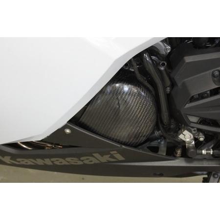 TRICKSTAR トリックスター ジェネレーターカバー ニンジャ250 KAWASAKI カワサキ オルタネーターカバー・ジェネレーターカバー エンジンパーツ エンジン
