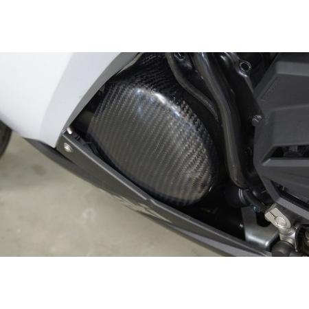 TRICKSTAR トリックスター ジェネレーターカバー ニンジャ250 KAWASAKI カワサキ オルタネーターカバー・ジェネレーターカバー エンジンパーツ エンジン_2