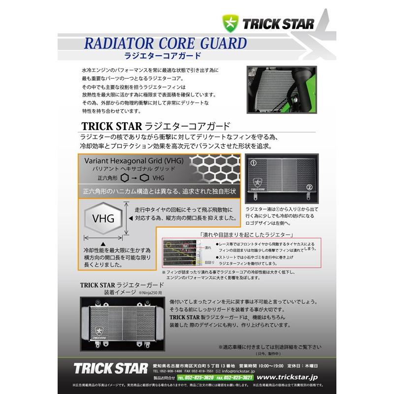 TRICK STAR（トリックスター） ラジエターコアガード 表面仕上げ