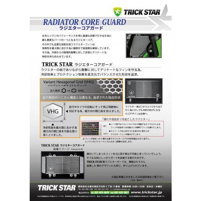 TRICKSTAR トリックスター ラジエターコアガード 表面仕上げ：ブラックメッキ ZRX1200ダエグ KAWASAKI カワサキ 冷却関連 エンジン | TRICK STAR | 03