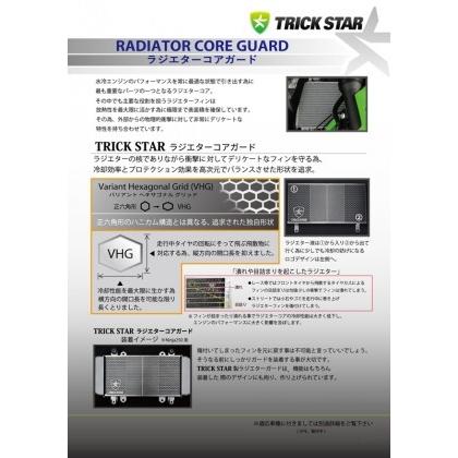 TRICK STAR（トリックスター） ラジエターコアガード 表面仕上げ