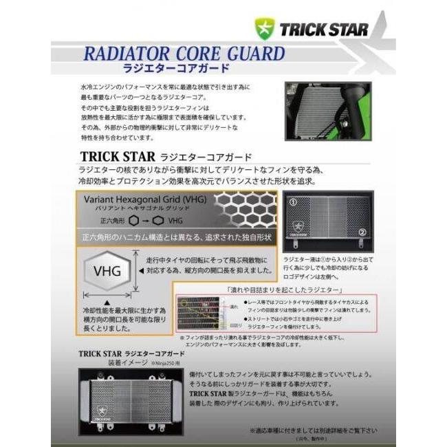 TRICK STAR（トリックスター） ラジエターコアガード カラー：ブラック