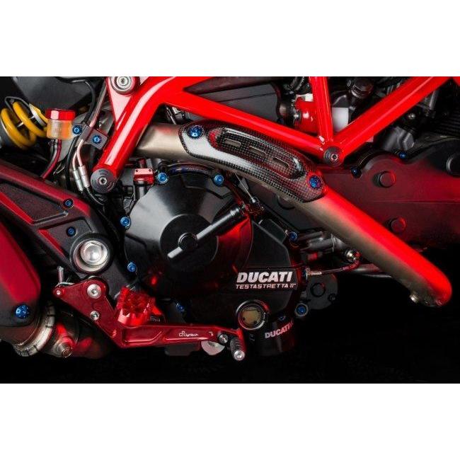 LighTech ライテック エンジン用ボルトキット カラー：シルバー HYPERMOTARD 821 SP HYPERSTRADA DUCATI ドゥカティ クランクケースボルト エンジンパーツ_2