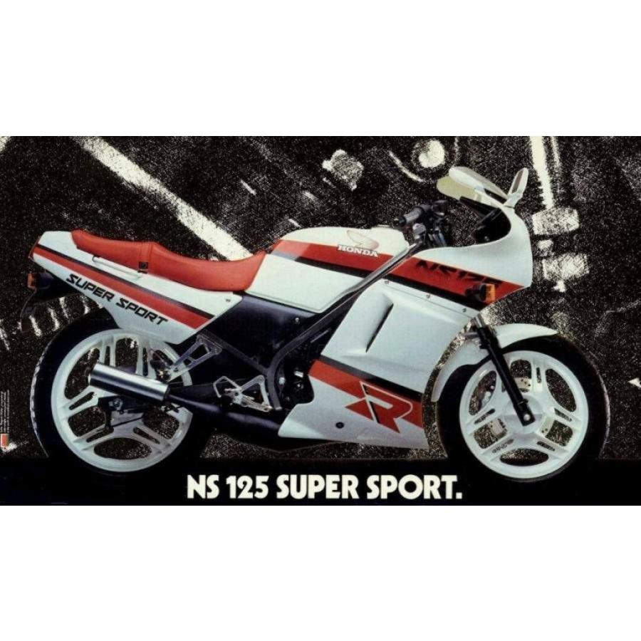 Pyramid Plastics ピラミッドプラスチック ロアー・フェアリング(無塗装)(Lowers Unpainted) NS125 ALL HONDA ホンダ サイドカウル・サイドカバー カウル関連