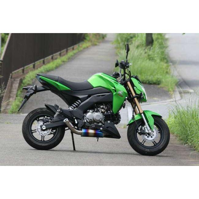 STRIKER ストライカー スペシャルステップキット Z125 プロ KAWASAKI カワサキ バックステップ ステップ 足回りの画像