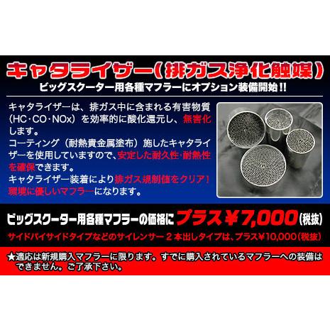 WirusWin ウイルズウィン ロイヤルマフラー タイプ：ポッパータイプ / オプション：なし 仕様：ブラックカーボンバージョンアップ Z125 プロ KAWASAKI カワサキの画像