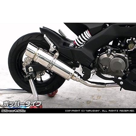 WirusWin ウイルズウィン ロイヤルマフラー 仕様：チタンバージョンアップ / タイプ：ポッパータイプ オプション：なし Z125 プロ KAWASAKI カワサキ マフラーの画像