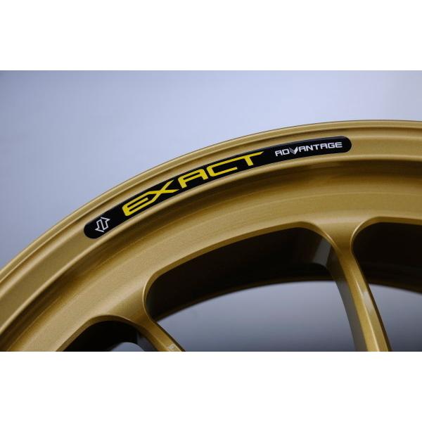 ADVANTAGE（アドバンテージ） EXACT [イグザクト] RACING 10 フル鍛造