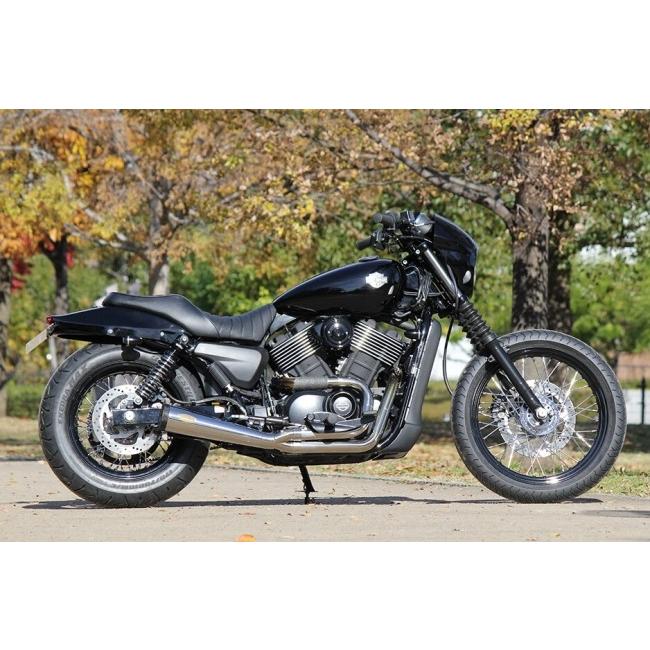 GLEAMING WORKS グリーミンワークス アリゲーターテールカウル カラー：ブラック塗装仕上げ (LEDテールランプ付き) STREET750 シートカウル・テールカウル 外装の画像