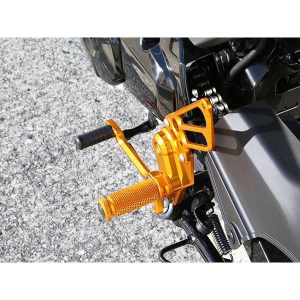 babyface（ベビーフェイス） バックステップキット カラー：ゴールド