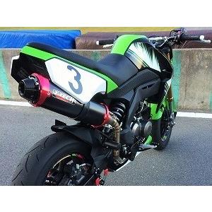 SOLID UP（ソリッドアップ） レーシングゼッケンカウル Z125 PRO