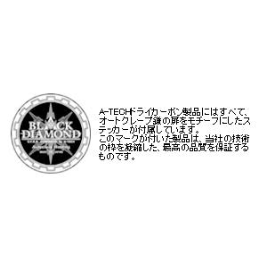 A-TECH A-TECH:エーテック サブフレームカバー 素材：FRP／黒(FB) ZX-10R KAWASAKI カワサキ05
