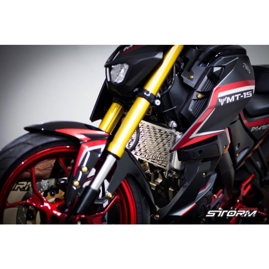 STORM AEROPARTS STORM AEROPARTS:ストームエアロパーツ ラジエターガード カラー:Black R15 M-slaz YAMAHA ヤマハ YAMAHA ヤマハ|ウェビック1号店|02