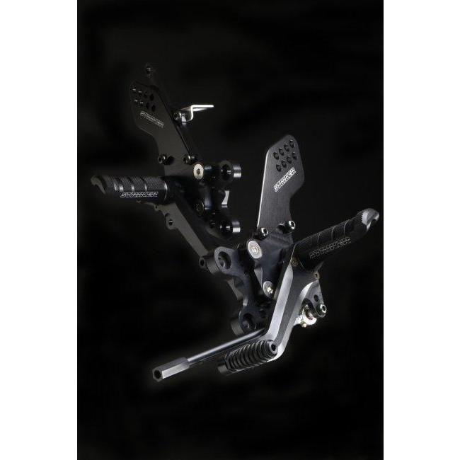 STRIKER（ストライカー） スポーツツーリングコンセプト(STC)ステップ