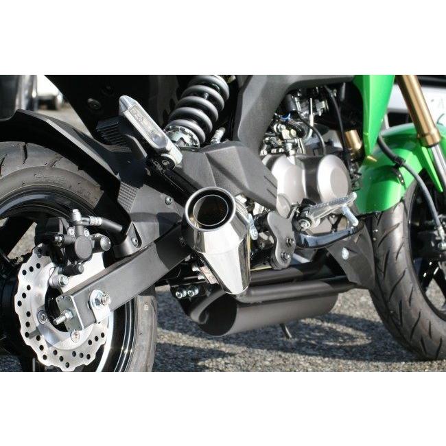 RPM アールピーエム RPM-GP フルエキゾーストマフラー Z125 プロ