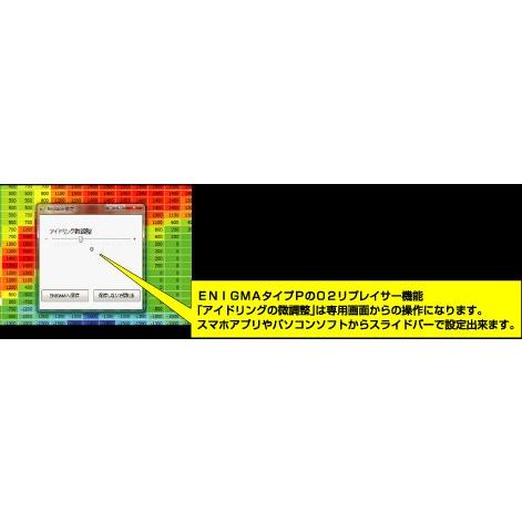 DILTS JAPAN ディルツジャパン ENIGMA タイプ P Z125PRO KAWASAKI
