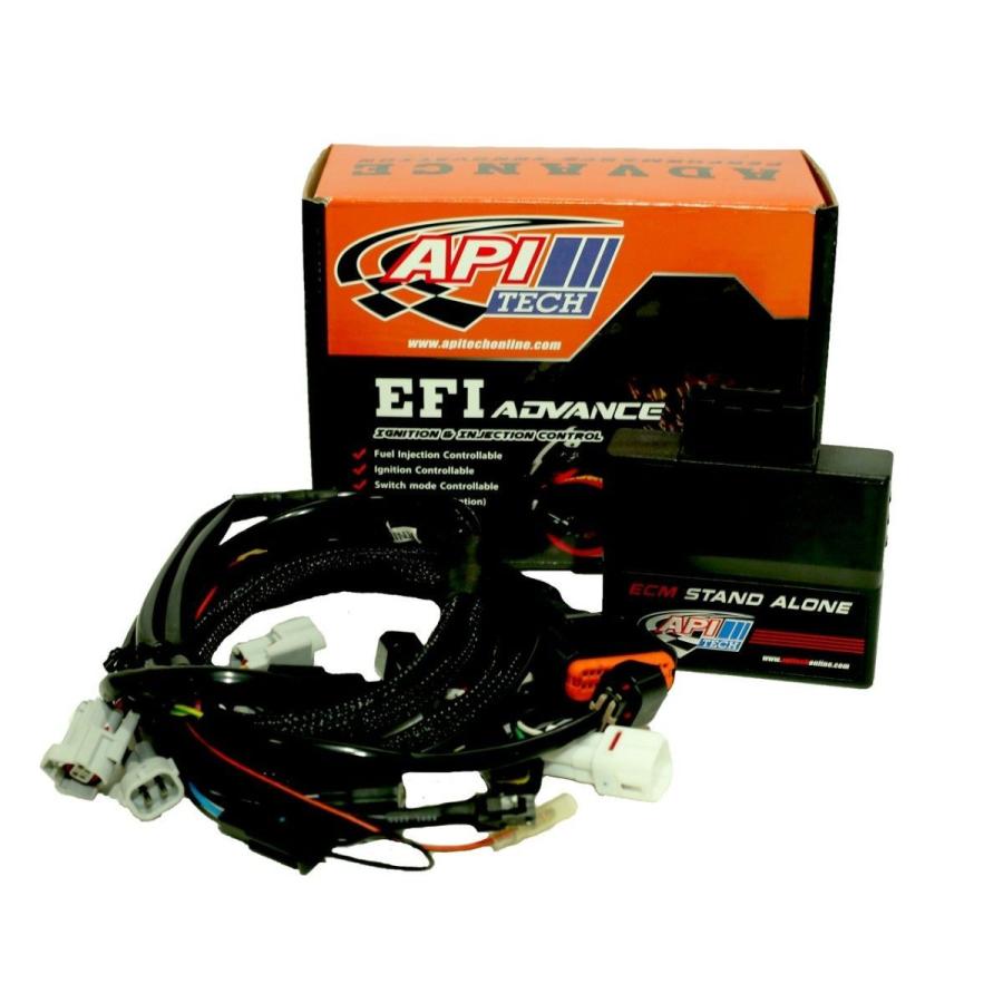 API TECH エーピーアイテック EFI-ALPHA-1 Ninja 300 250 KAWASAKI