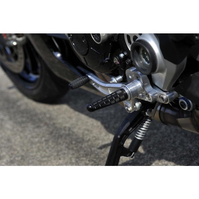 de LIGHT ディライト ミドルポジションステップキット カラー：シルバー XDIAVEL DUCATI ドゥカティ フットペグ ステップ 足回り_2