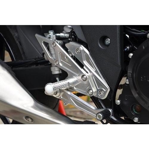AGRAS アグラス バックステップ GSX250R SUZUKI スズキ ステップ 足回り_1