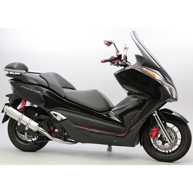 【shi】専用です。 ENDURANCE（エンデュランス） ロングスクリーン フォルツァ Si